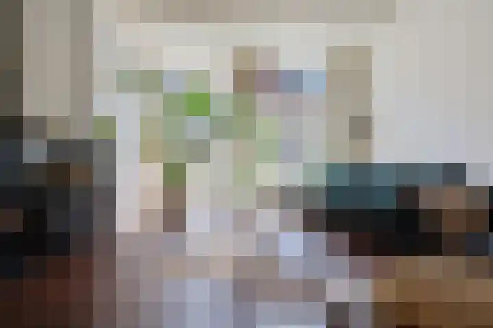 Buitenkwartier 22 Zwartsluis thumbnail 15