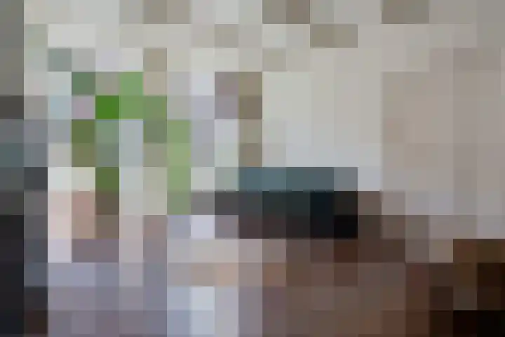 Buitenkwartier 22 Zwartsluis thumbnail 16