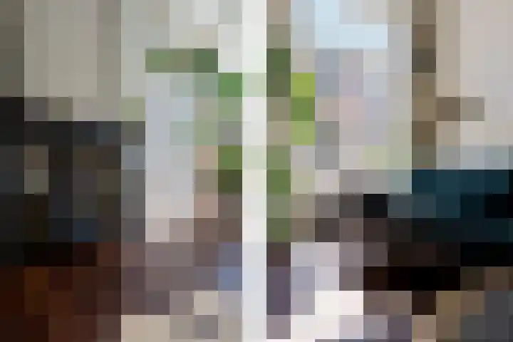 Buitenkwartier 22 Zwartsluis thumbnail 18