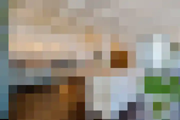 Buitenkwartier 22 Zwartsluis thumbnail 20