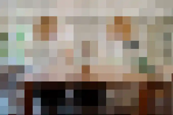 Buitenkwartier 22 Zwartsluis thumbnail 23
