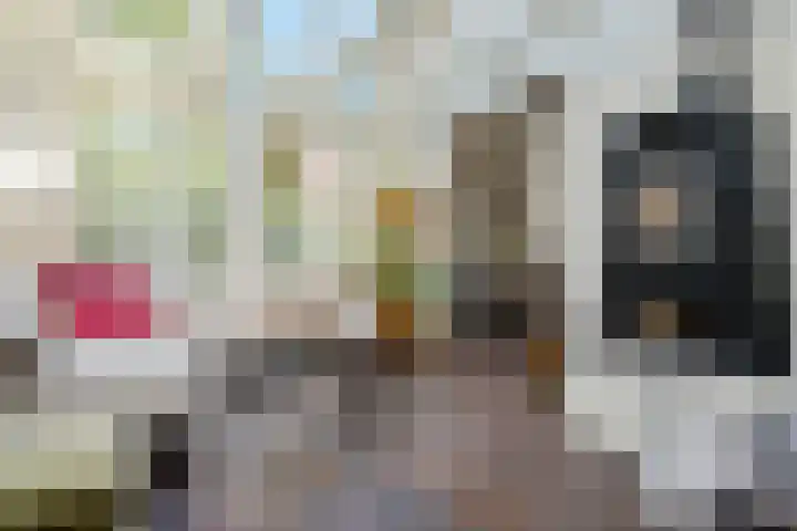 Buitenkwartier 22 Zwartsluis thumbnail 30