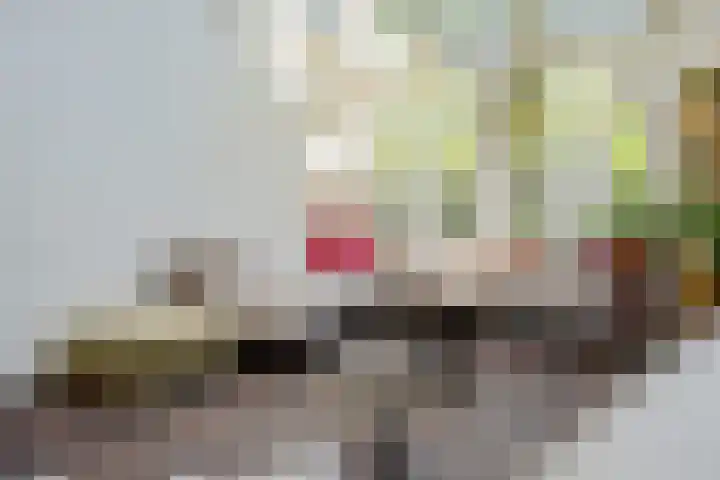 Buitenkwartier 22 Zwartsluis thumbnail 31