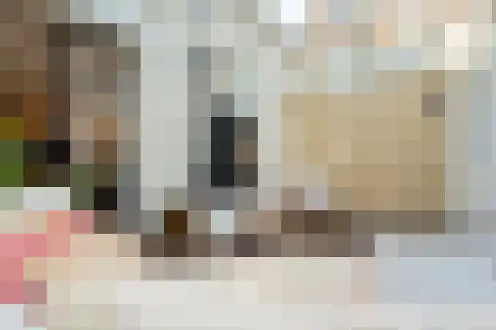 Buitenkwartier 22 Zwartsluis thumbnail 32
