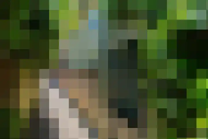 Buitenkwartier 22 Zwartsluis thumbnail 4