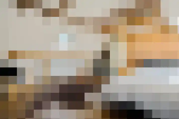 Buitenkwartier 22 Zwartsluis thumbnail 42