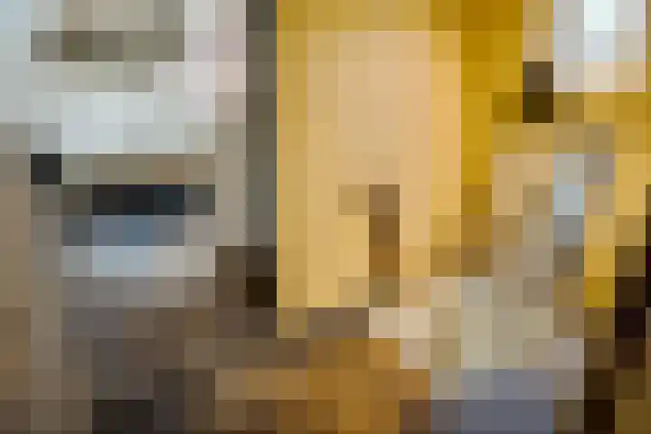Buitenkwartier 22 Zwartsluis thumbnail 43