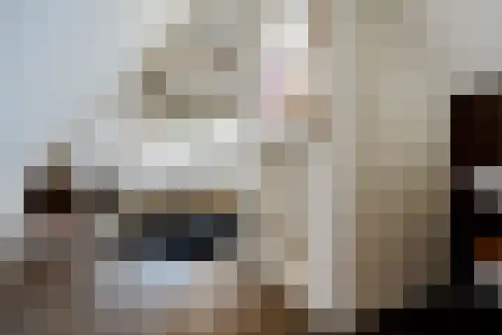 Buitenkwartier 22 Zwartsluis thumbnail 44