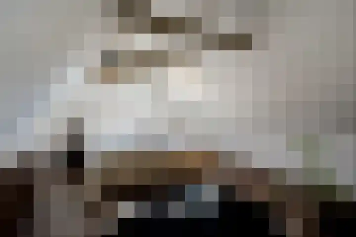 Buitenkwartier 22 Zwartsluis thumbnail 45