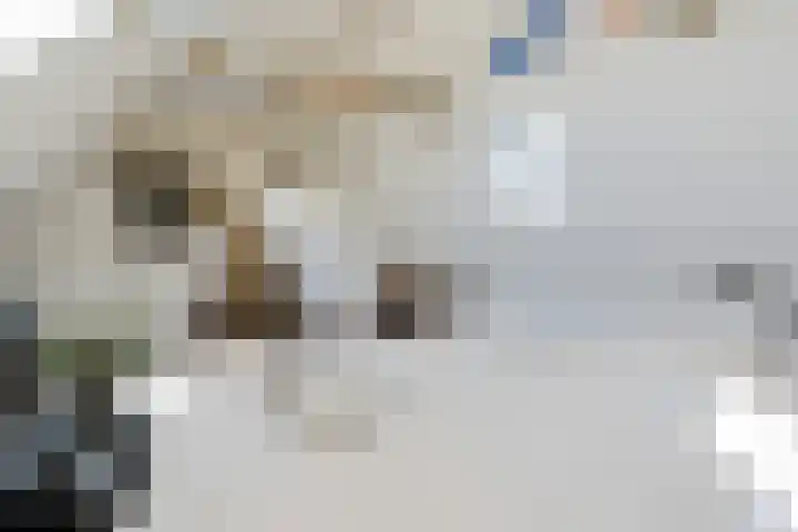 Buitenkwartier 22 Zwartsluis thumbnail 47