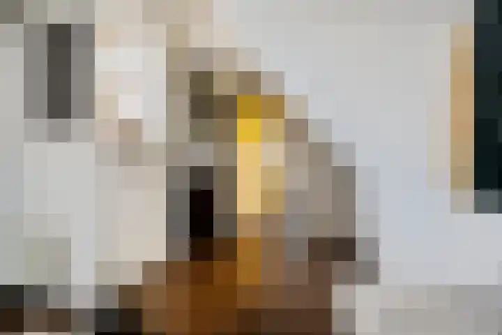 Buitenkwartier 22 Zwartsluis thumbnail 48