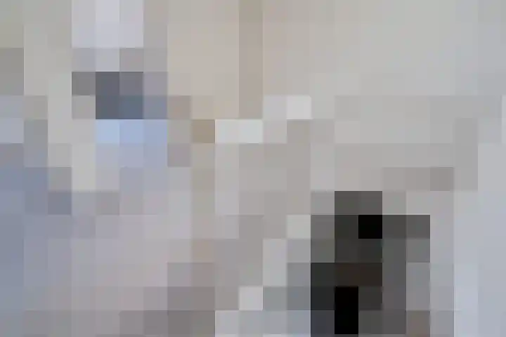 Buitenkwartier 22 Zwartsluis thumbnail 50