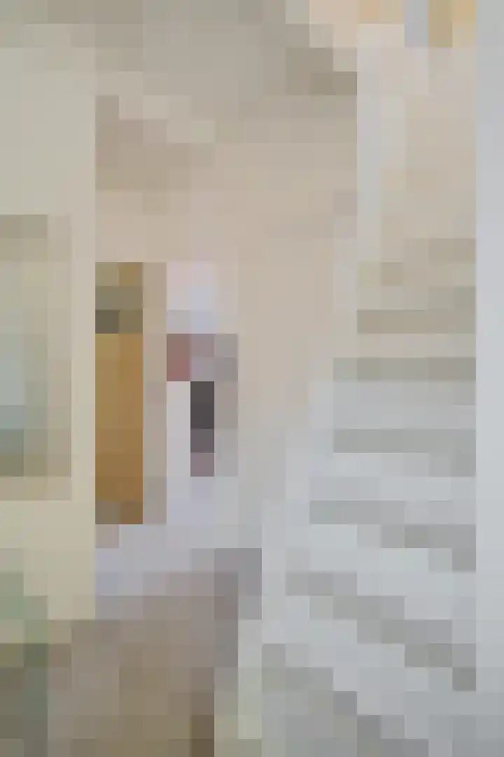 Buitenkwartier 22 Zwartsluis thumbnail 54
