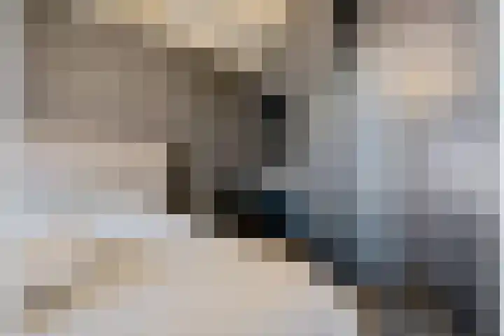 Buitenkwartier 22 Zwartsluis thumbnail 58