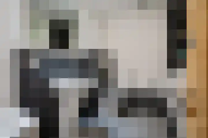 Buitenkwartier 22 Zwartsluis thumbnail 61