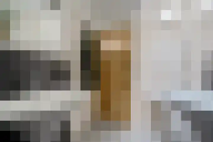 Buitenkwartier 22 Zwartsluis thumbnail 62