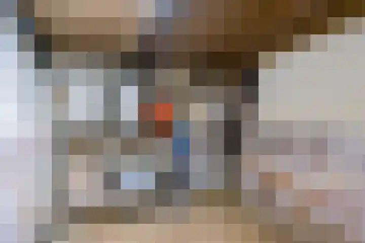 Buitenkwartier 22 Zwartsluis thumbnail 65