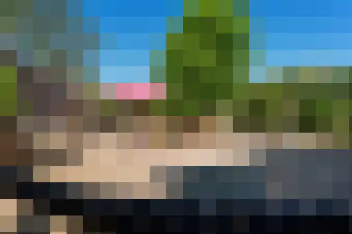 Buitenkwartier 22 Zwartsluis thumbnail 67