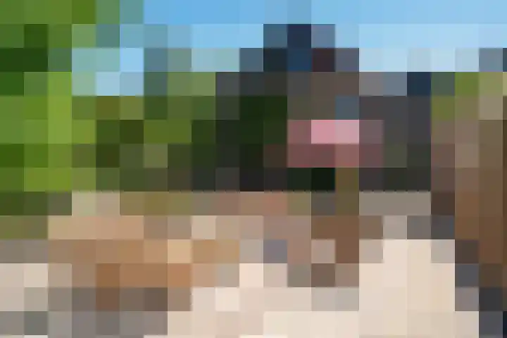 Buitenkwartier 22 Zwartsluis thumbnail 69