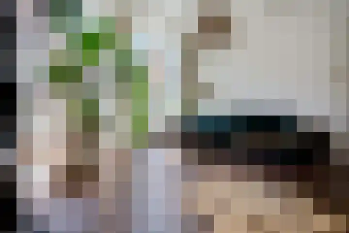 Buitenkwartier 22 Zwartsluis thumbnail 7