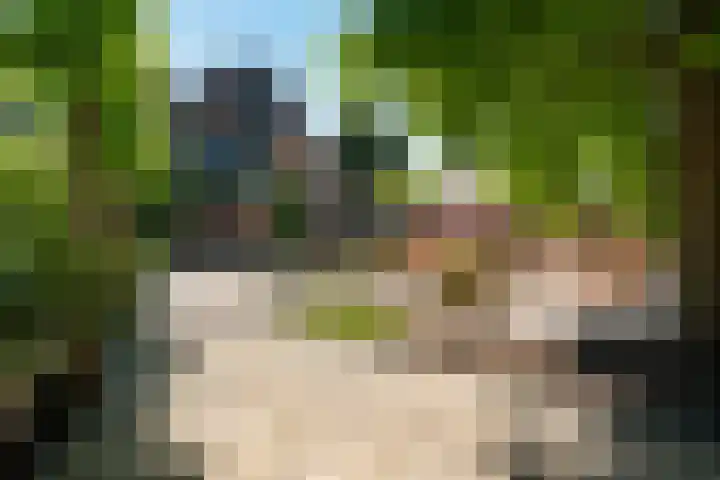 Buitenkwartier 22 Zwartsluis thumbnail 71