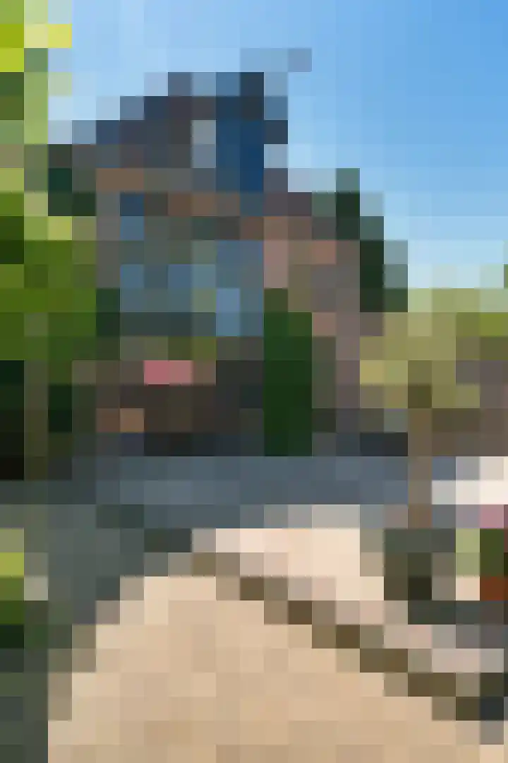 Buitenkwartier 22 Zwartsluis thumbnail 72