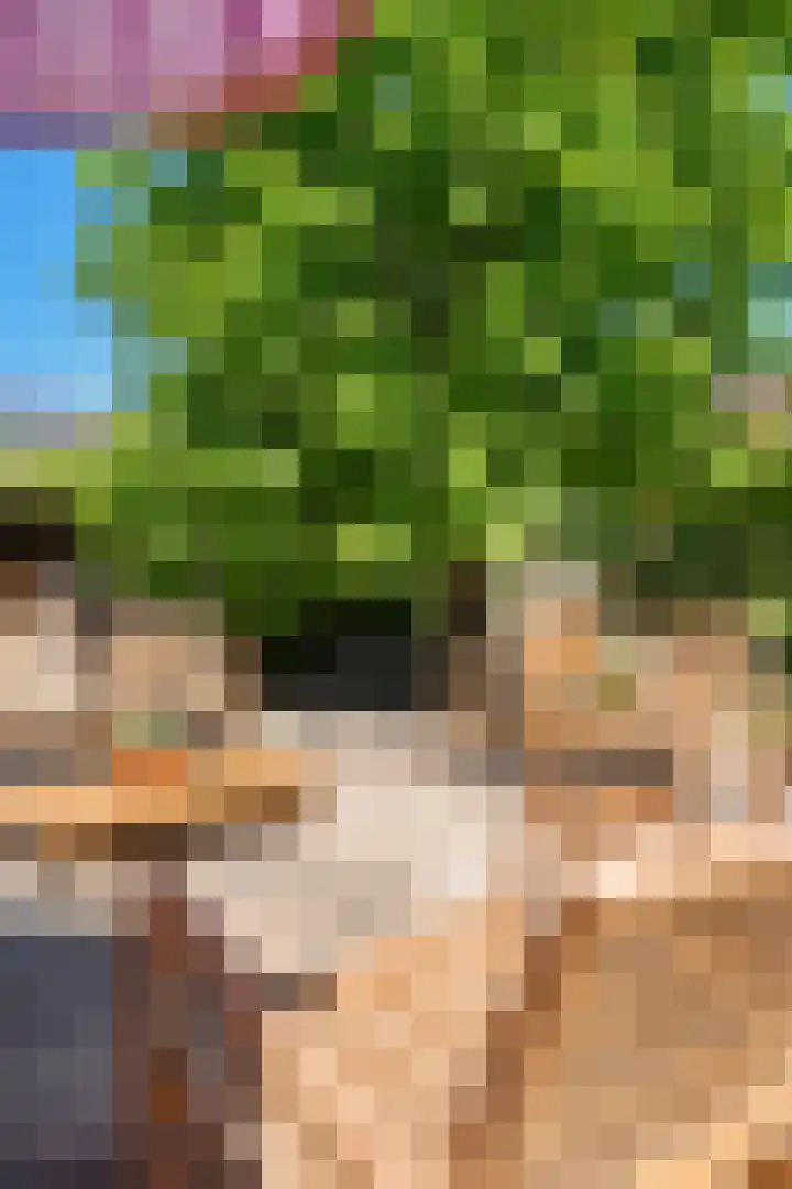 Buitenkwartier 22 Zwartsluis thumbnail 73