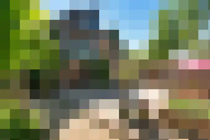 Buitenkwartier 22 Zwartsluis thumbnail 74