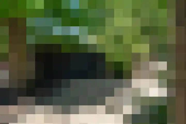 Buitenkwartier 22 Zwartsluis thumbnail 76
