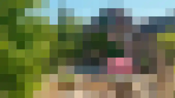 Buitenkwartier 22 Zwartsluis thumbnail 79