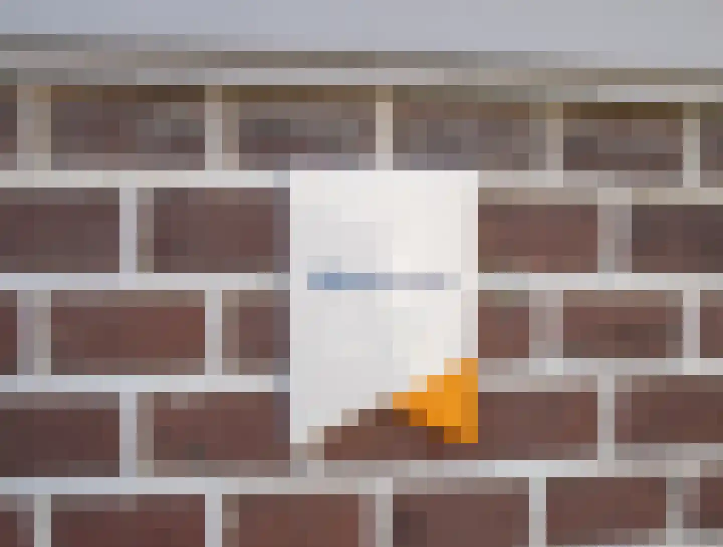 Buitenkwartier 39 Zwartsluis thumbnail 11