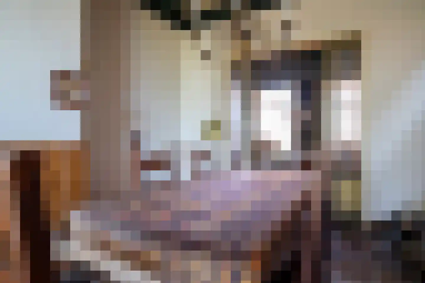 Buitenkwartier 39 Zwartsluis thumbnail 22