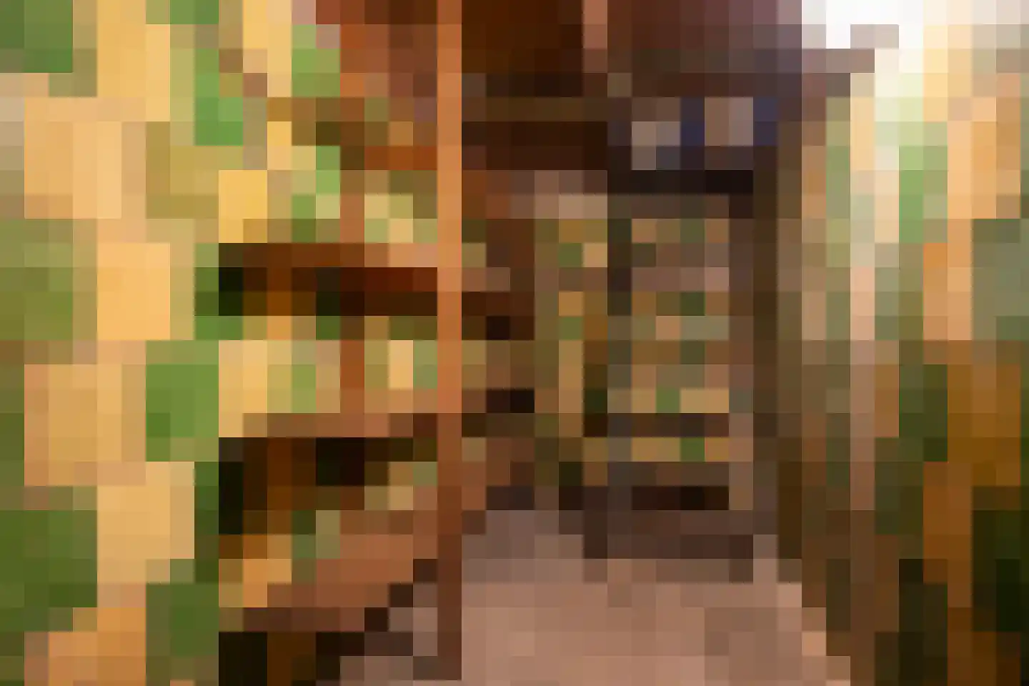 Buitenkwartier 39 Zwartsluis thumbnail 30