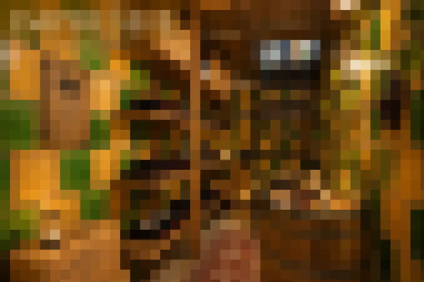 Buitenkwartier 39 Zwartsluis thumbnail 31