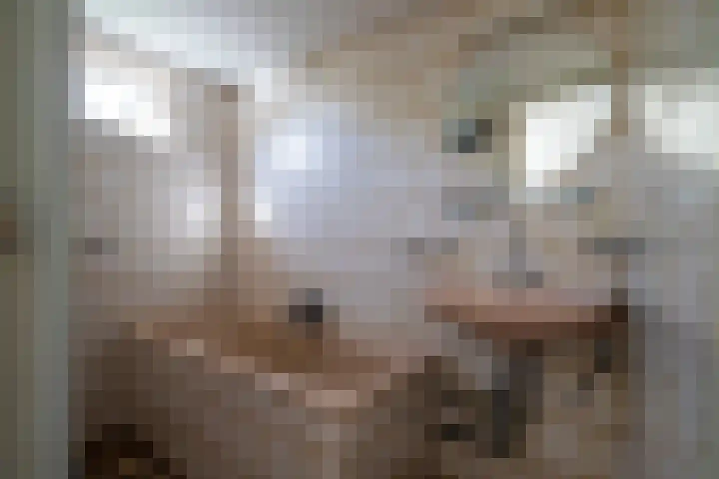Buitenkwartier 39 Zwartsluis thumbnail 33