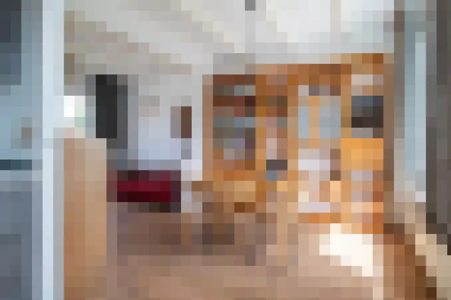 Buitenkwartier 7 Zwartsluis thumbnail 17