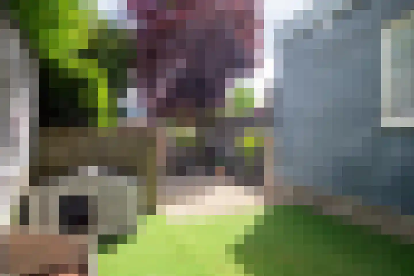 Buitenkwartier 7 Zwartsluis thumbnail 30