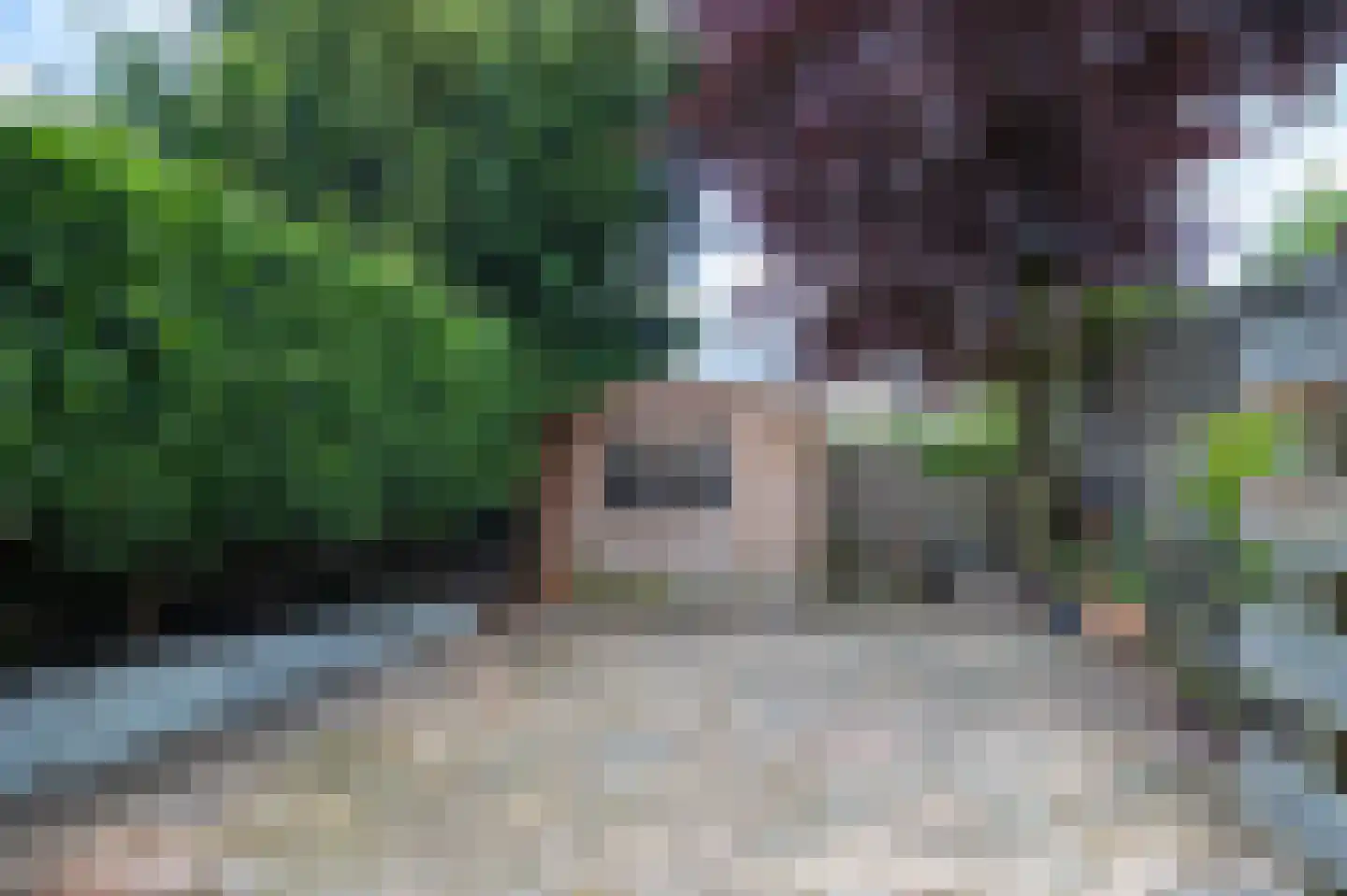 Buitenkwartier 7 Zwartsluis thumbnail 32