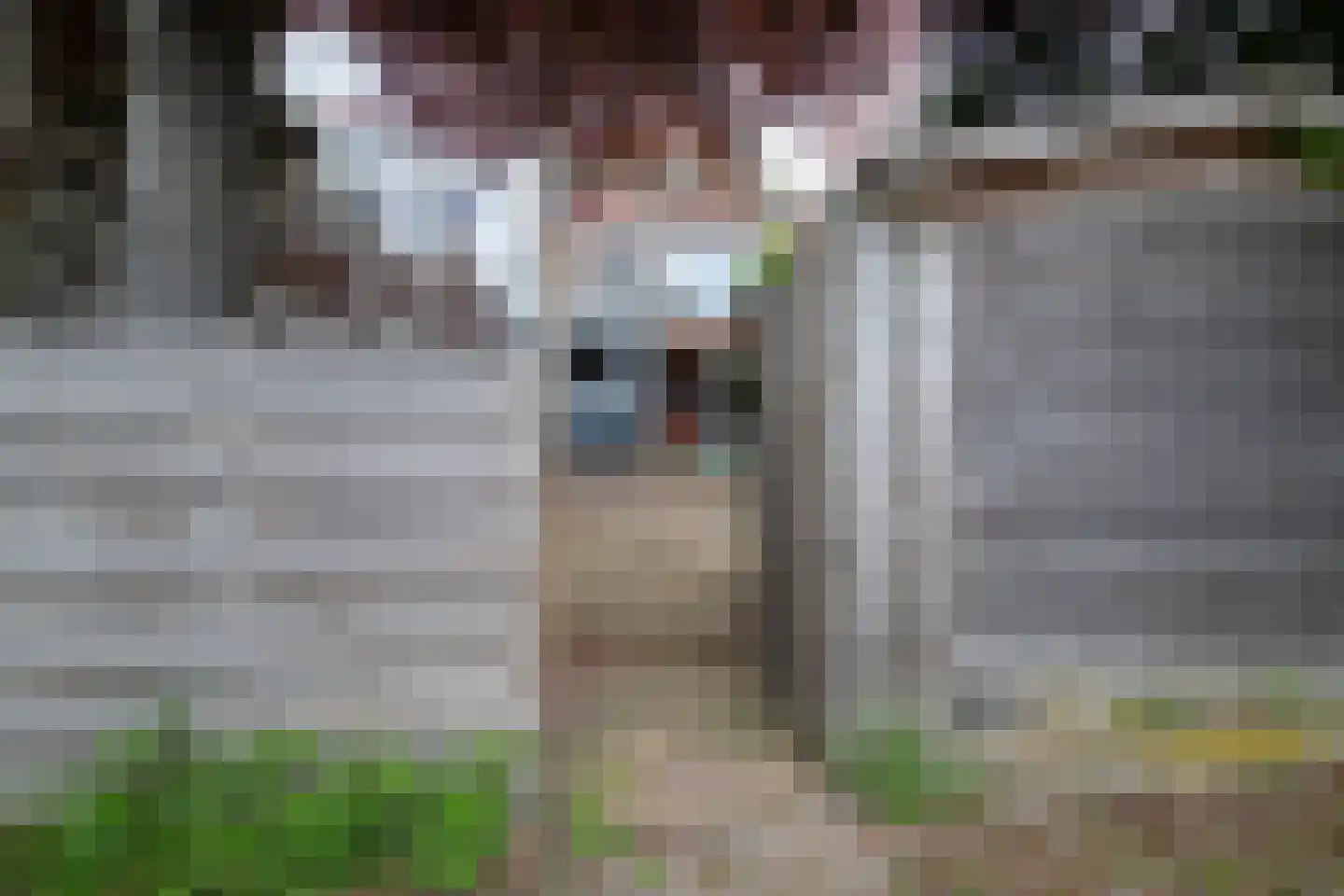 Buitenkwartier 7 Zwartsluis thumbnail 33