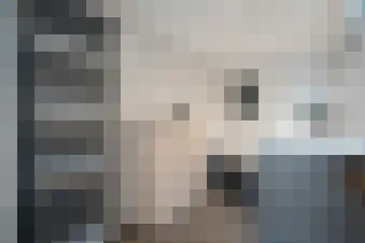 Buitenkwartier 77 Zwartsluis thumbnail 19