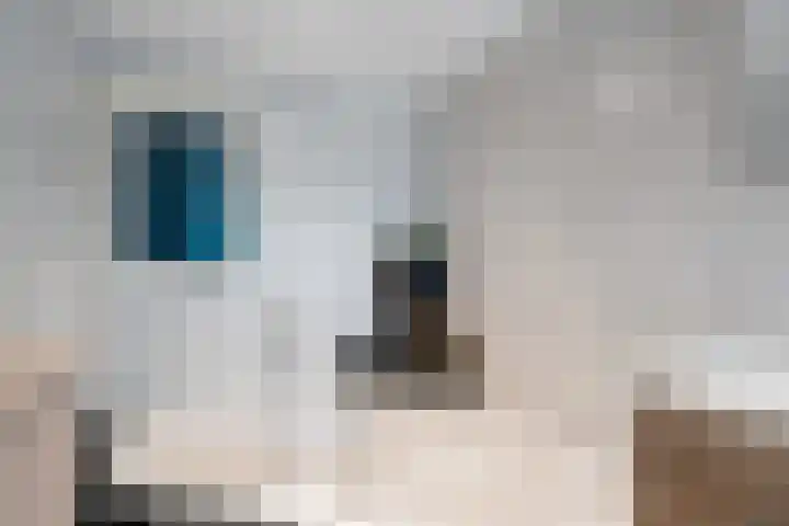 Buitenkwartier 77 Zwartsluis thumbnail 20