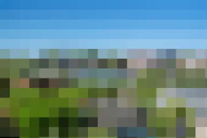 Buitenkwartier 77 Zwartsluis thumbnail 28
