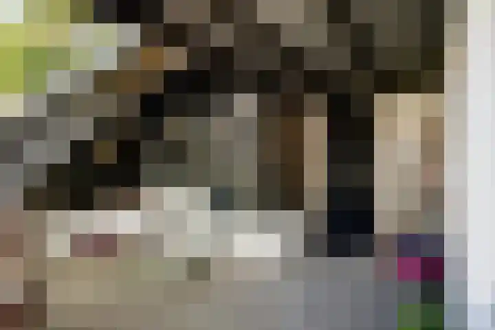 Buitenkwartier 77 Zwartsluis thumbnail 30