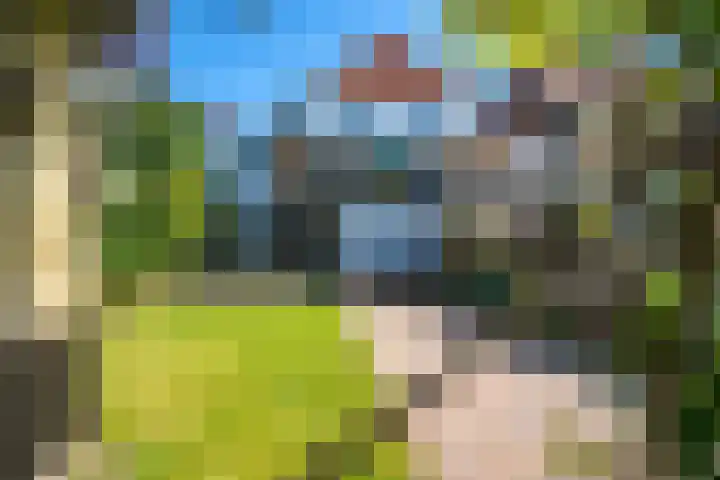 Buitenkwartier 77 Zwartsluis thumbnail 37