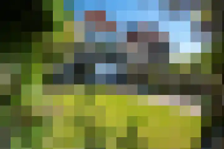 Buitenkwartier 77 Zwartsluis thumbnail 38