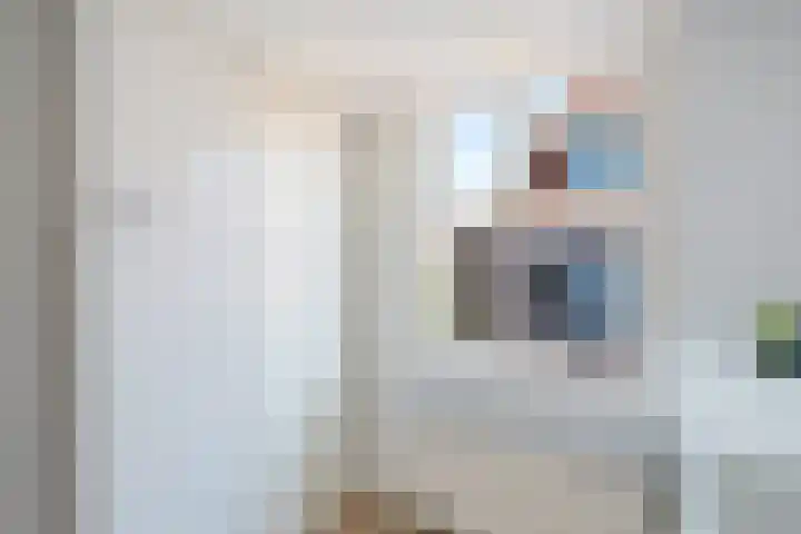 Buitenkwartier 77 Zwartsluis thumbnail 40
