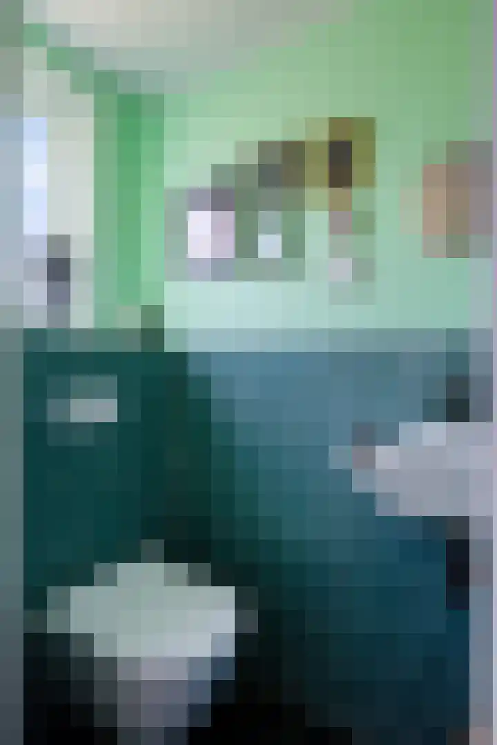 Buitenkwartier 77 Zwartsluis thumbnail 7