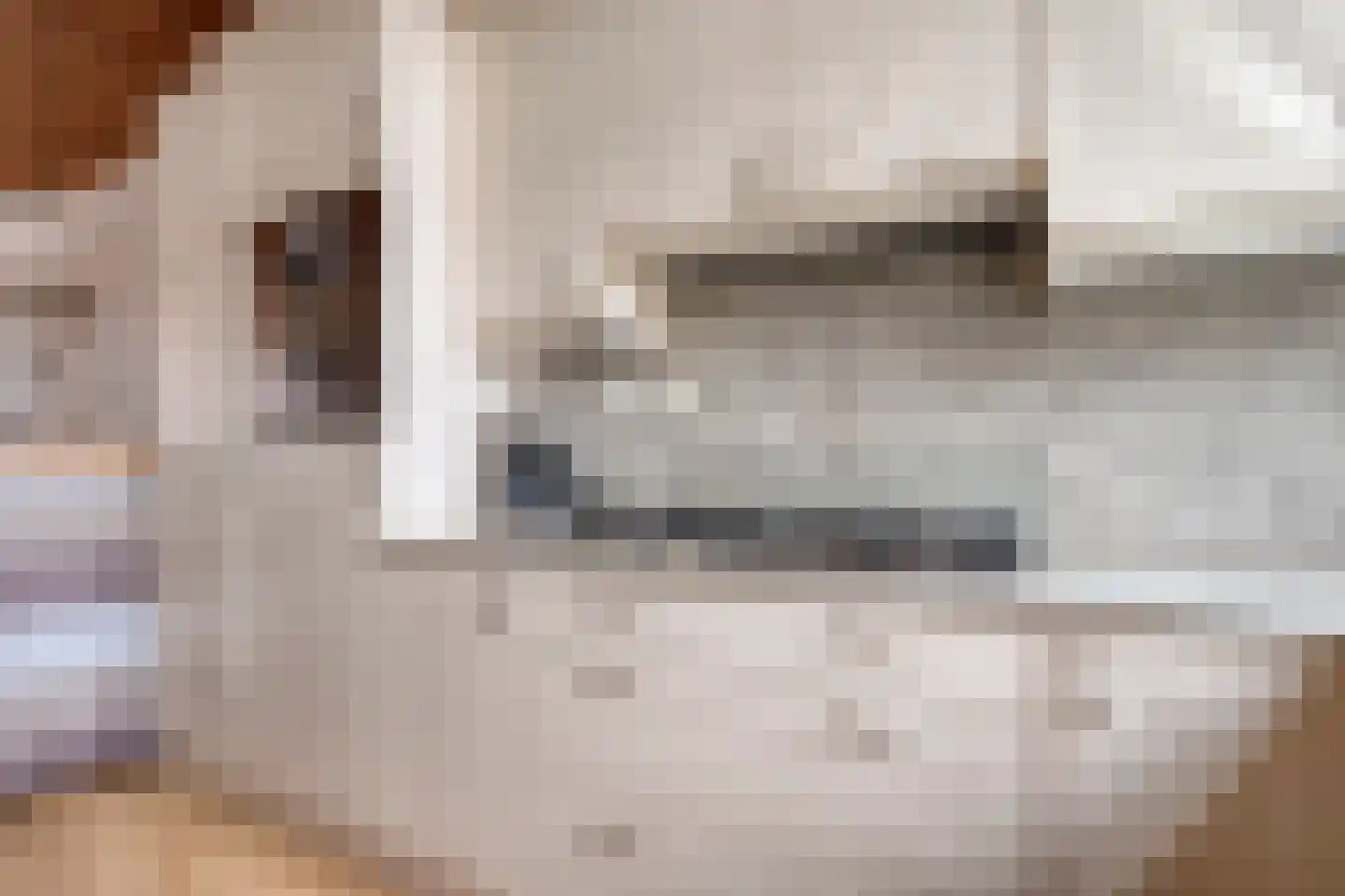 Buitenkwartier 83 Zwartsluis thumbnail 12