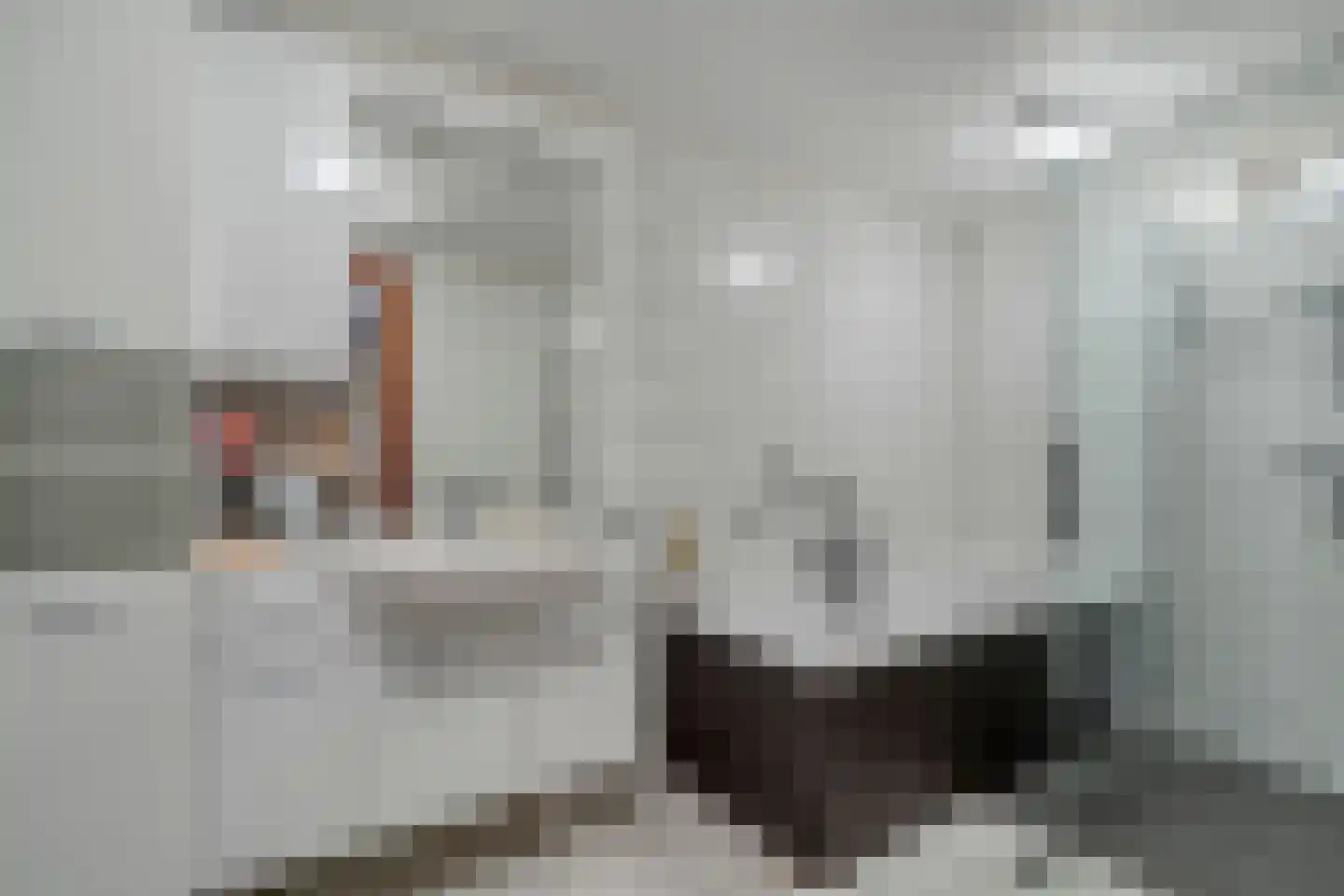 Buitenkwartier 83 Zwartsluis thumbnail 16