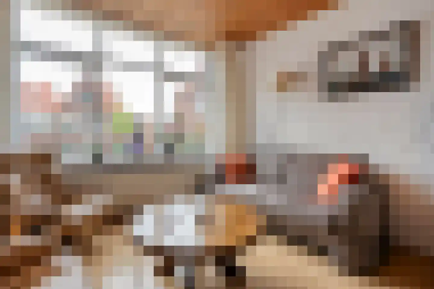Buitenkwartier 83 Zwartsluis thumbnail 6